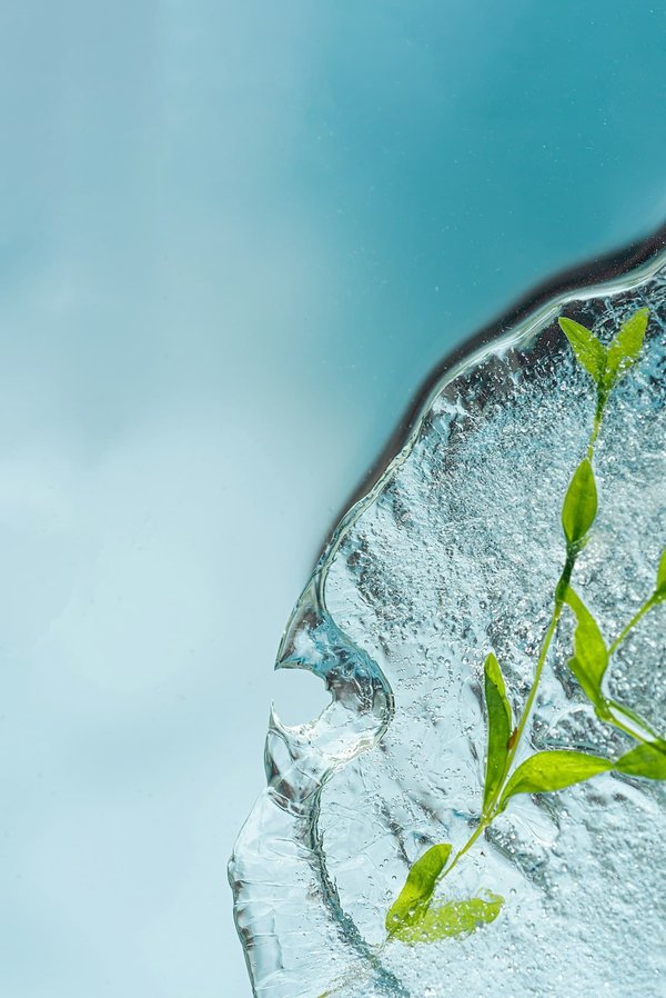 Quels sont les bienfaits des séances de cryothérapie pour la récupération musculaire chez les femmes ?