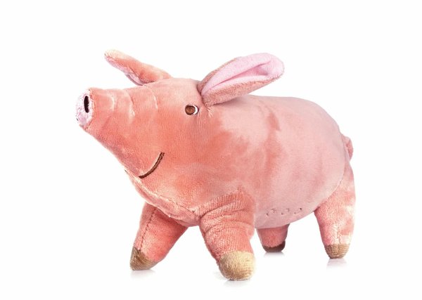 Cochon peluche : un cadeau doux et câlin !